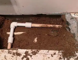 和田测漏水哪家好